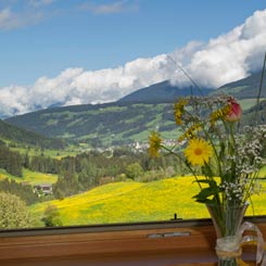 Blick ins Pragsertal vom Hof